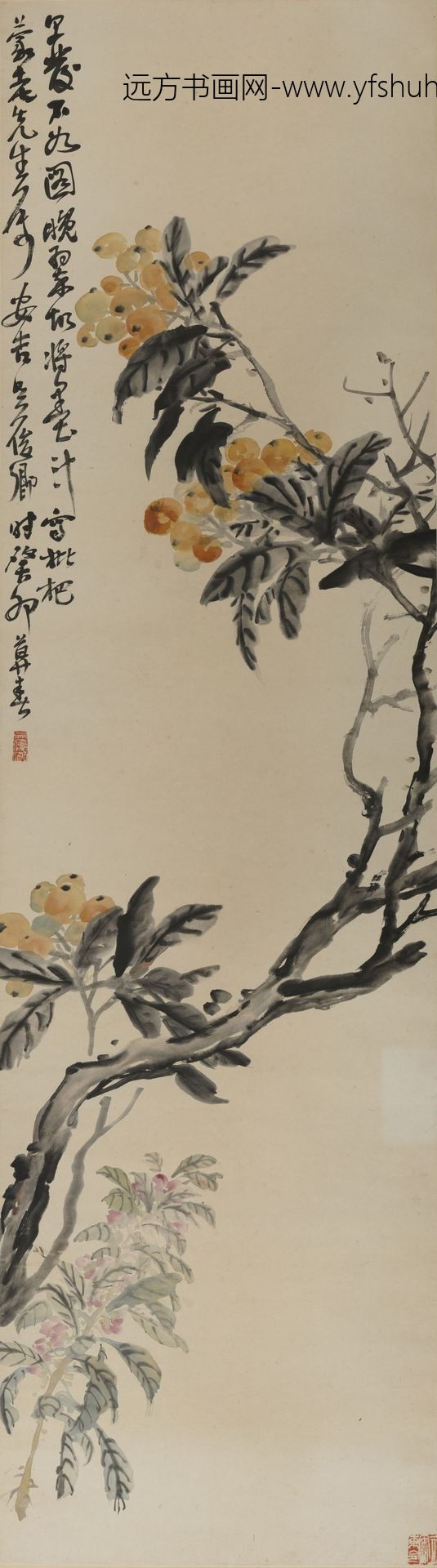 吴昌硕_枇杷图轴