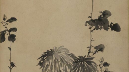 唐云 墨菊轴.jpg