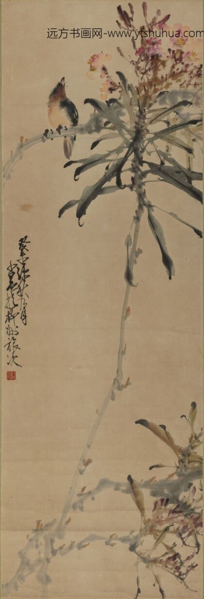 赵少昂 花卉图.jpg