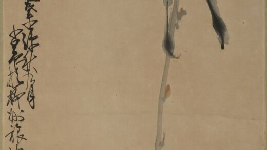 赵少昂 花卉图.jpg