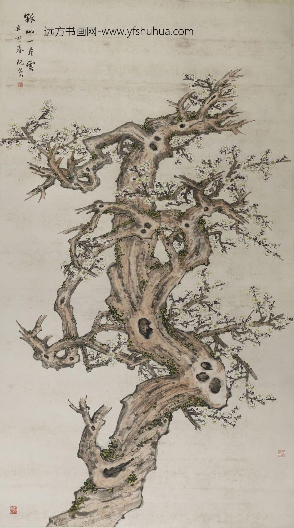 阮性山_设色梅花