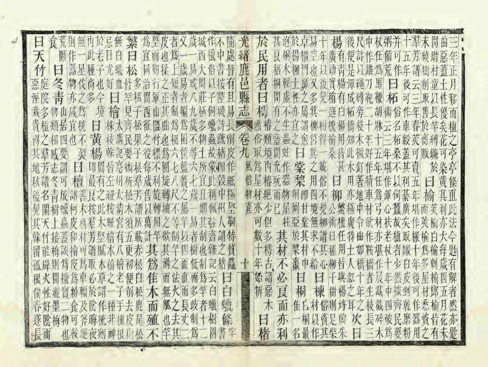 _光绪鹿邑县志_