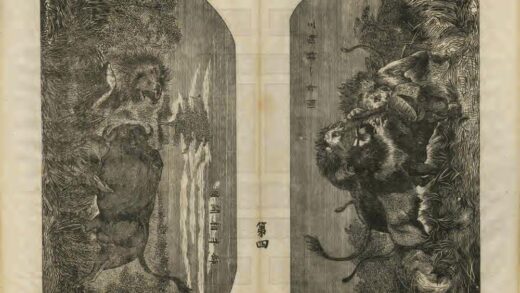 04227 泰西风土记 0.jpg