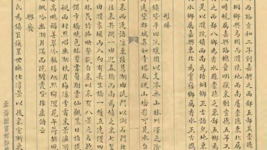 04402 濮镇纪闻 0.jpg