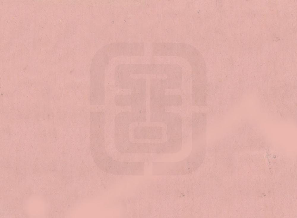 _武城县志续编_