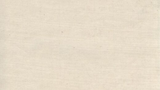 00077 褚氏家乘 0.jpg