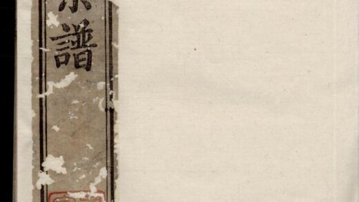 00117 吕城坝口陈氏宗谱 0.jpg