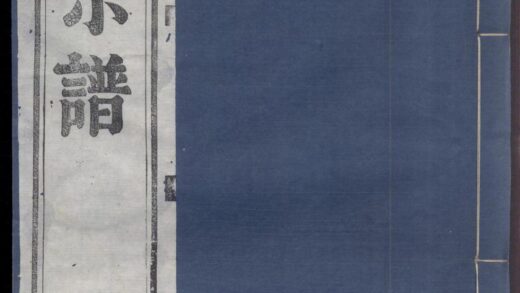 00139 金氏续修宗谱 0.jpg