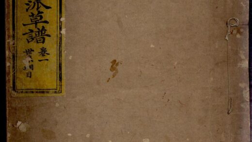 00230 蛟川黄氏本派草谱 0.jpg