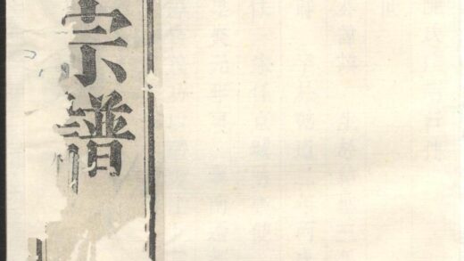 00256 暨阳陈氏宗谱 0.jpg