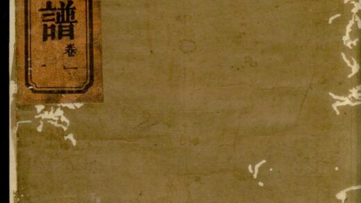 00299 湖南常德武陵萧氏族谱 0.jpg