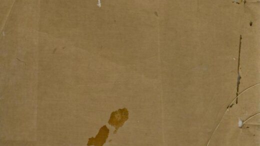 00378 李氏族谱 0.jpg