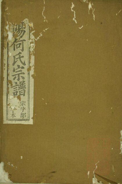 00379 江阳何氏宗谱 0.jpg