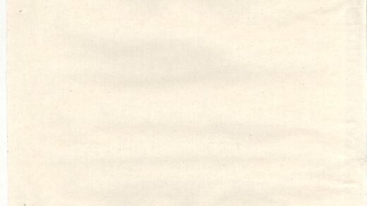 00385 胡氏族谱草底 0.jpg