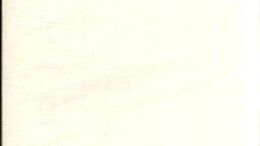 00542 高阳王氏宗谱 0.jpg