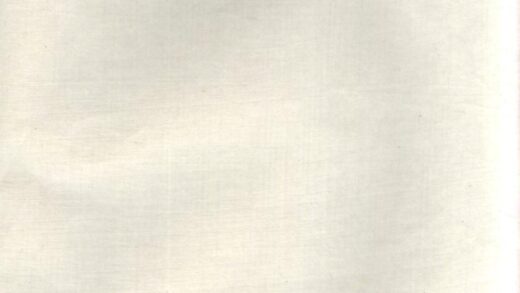 00543 凤林王氏曲江宗谱 0.jpg