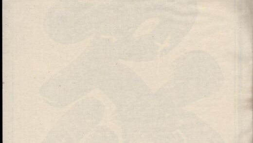 00561 金华阮氏宗谱 0.jpg