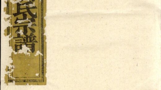 00603 暨阳上金胡氏宗谱 0.jpg