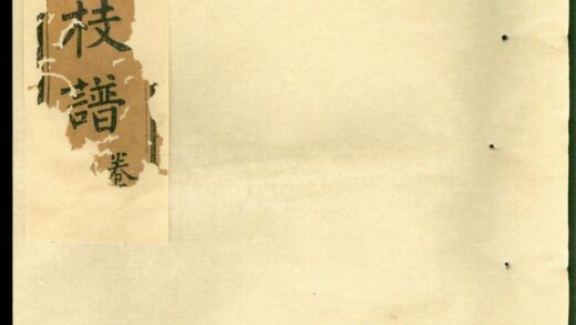 00623 扶风鲁氏彩公枝谱 0.jpg