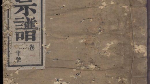 00720 鸠兹陈氏宗谱 0.jpg