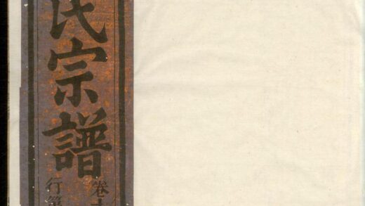 00784 华溪武平李氏宗谱 0.jpg