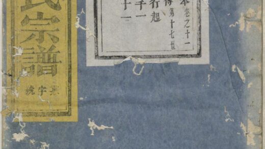 00815 龙溪陈氏宗谱 0.jpg