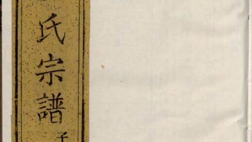 00838 暨阳陶山金氏宗谱 0.jpg