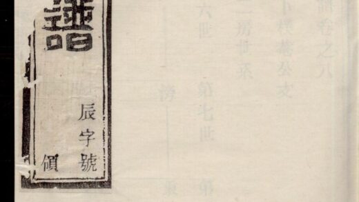 00840 川埠陈氏宗谱 0.jpg