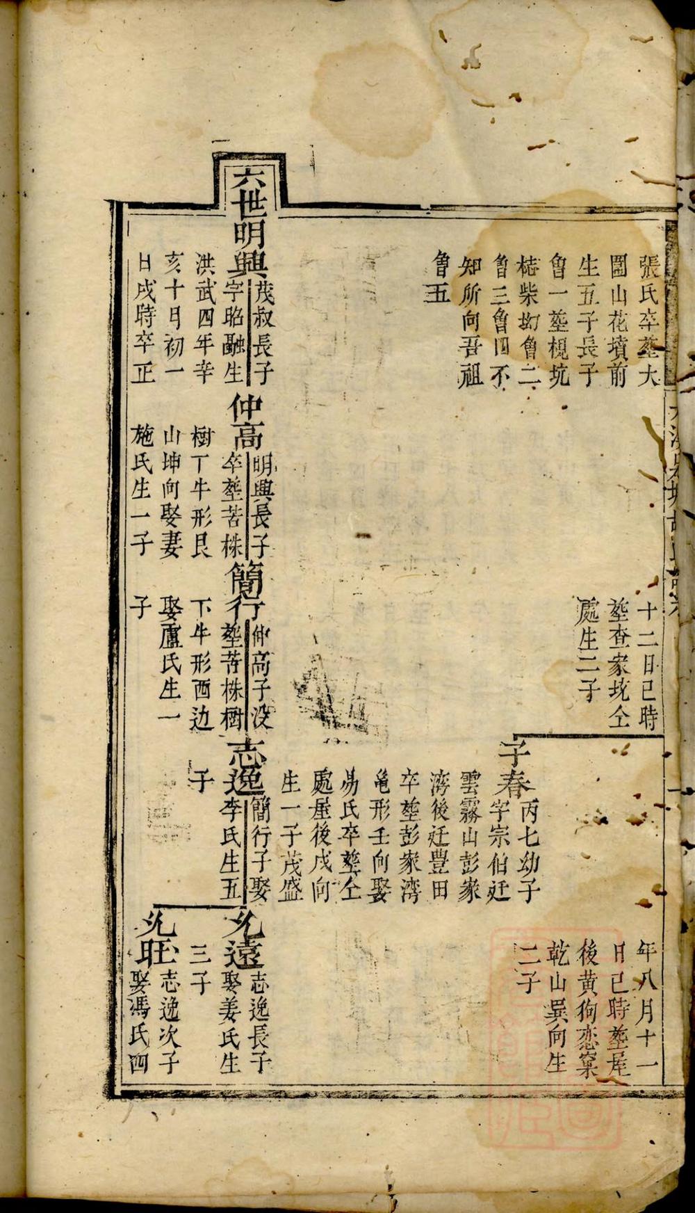 _大溪泉塘胡氏谱系_