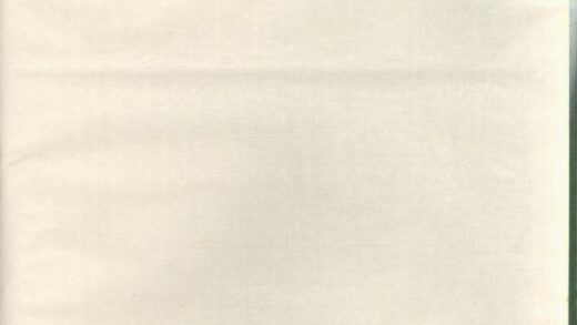 00919 东山傅氏十五修宗谱 0.jpg