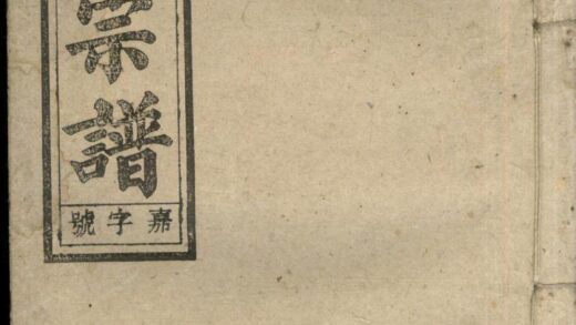 00957 河间凌氏族谱 0.jpg