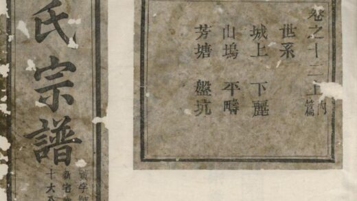 00972 安文陈氏宗谱 0.jpg