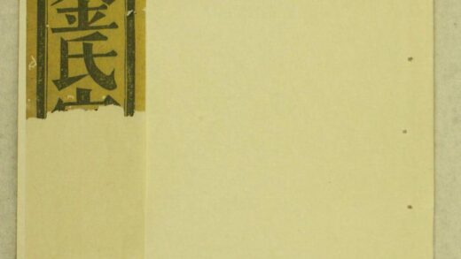 00975 卢溪金氏宗谱 0.jpg