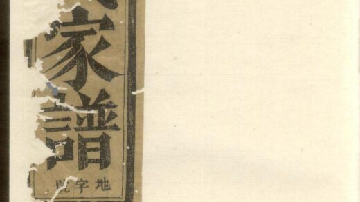 01015 陈氏宗谱 0.jpg