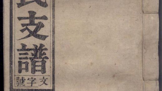 01087 太原王氏支谱 0.jpg