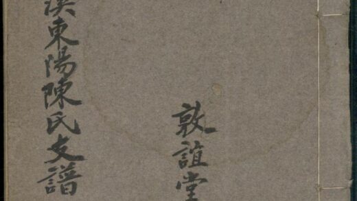 01127 罗溪东阳陈氏支谱 0.jpg