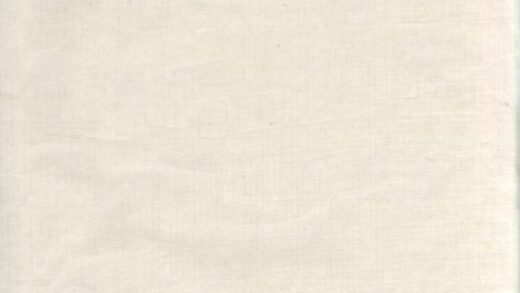 01135 毛氏族谱 0.jpg