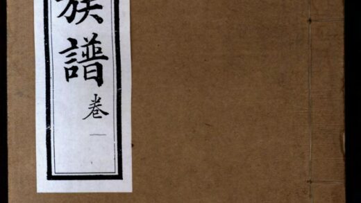 01163 宋氏族谱 0.jpg