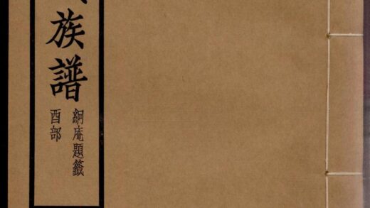 01192 项城张氏族谱 0.jpg