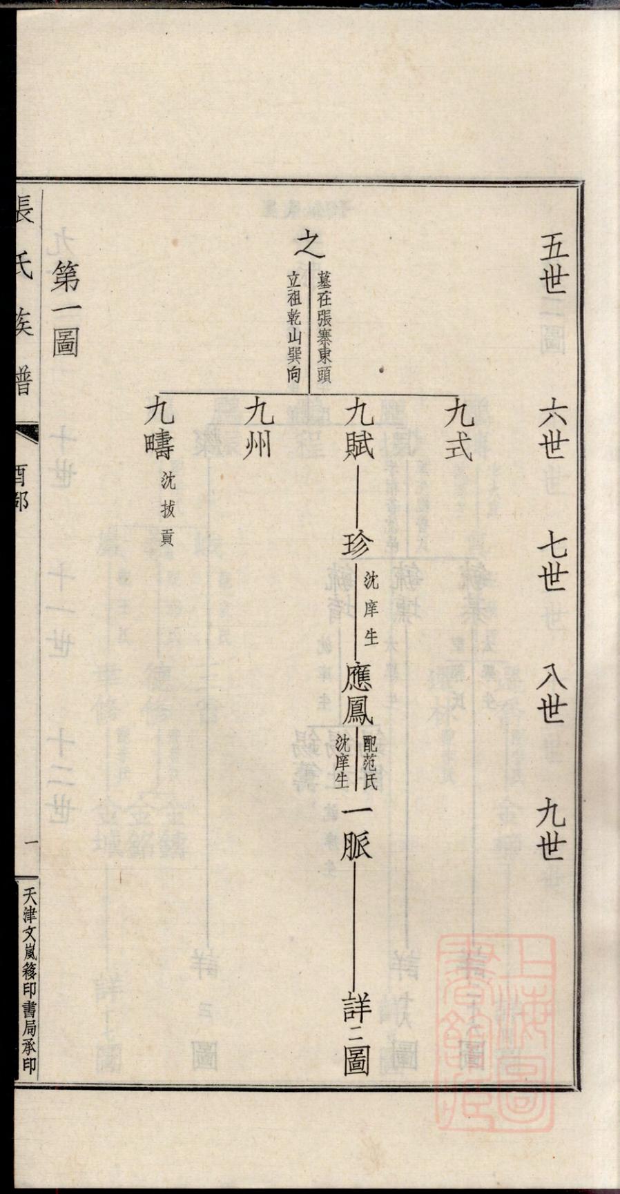 _项城张氏族谱_