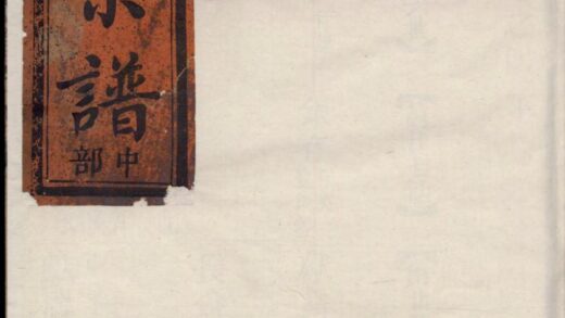 01202 五云王氏宗谱 0.jpg