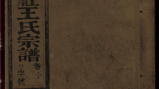 01287 桐城白阳金社王氏宗谱 0.jpg