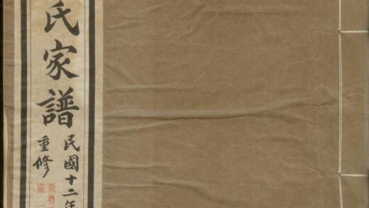 01356 鵁鶄陈氏家谱 0.jpg