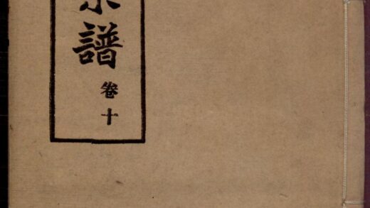 01362 白坭陈氏宗谱 0.jpg