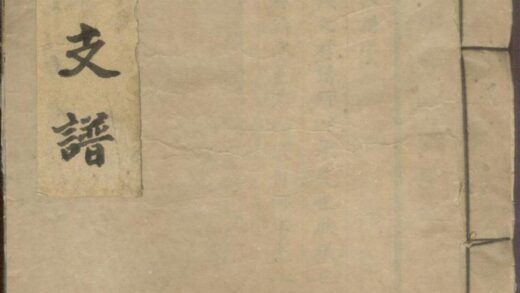 01366 辛氏支谱 0.jpg