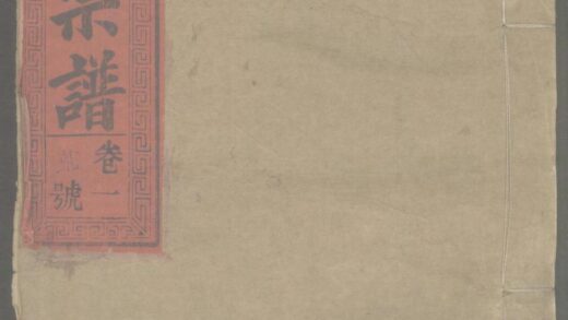 01408 潜川王氏宗谱 0.jpg