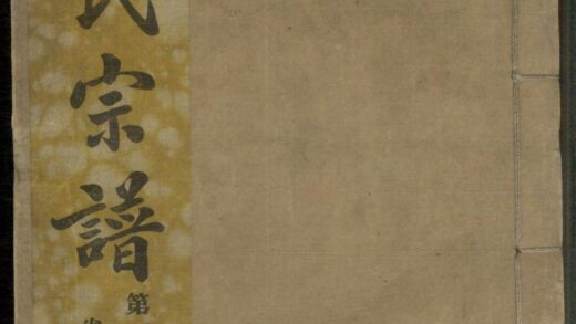 01420 合肥沈氏宗谱 0.jpg