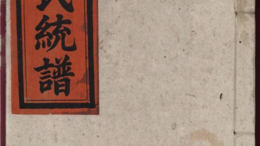 01434 京兆金氏宗谱 0.jpg