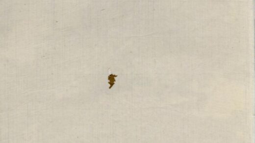 01449 颍川陈氏家谱 0.jpg