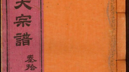 01454 龙岩陈锡庆堂族谱 0.jpg